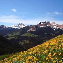 The Chilcotin Ark 