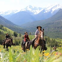 Data Collection Wilderness Horseback Conservation 