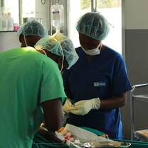Volunteer and help our public health sector