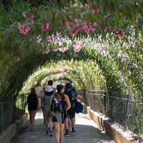LITA students (seen from behind) walking through a long archway of vines and pink flowers