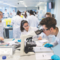 Students using equipment in our labs 