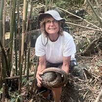 Volunteer releasing a pangolin to the wild