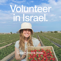 Volunteer In Israel