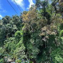 Ziplining