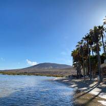 A serene beach scene in Spain with calm blue waters, palm trees, and volcanic hills in the background, capturing the coastal beauty and adventure opportunities available through RVF International's Teach English in Spain program.