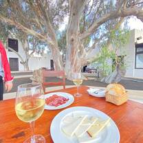 A table set with Spanish wine, cheese, cured meats, and fresh bread beneath a large tree, showcasing the delicious culinary experiences and tranquil moments participants can enjoy with RVF International's Teach English in Spain program.