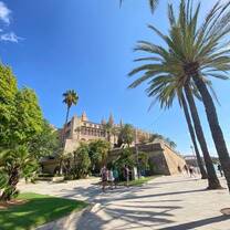 A sunny Spanish day with a jaw-dropping Gothic cathedral as the backdrop, framed by swaying palm trees and clear blue skies. Travelers stroll along the shaded walkway, living their best life in Spain. The perfect blend of history, sunshine, and RVF International adventures.