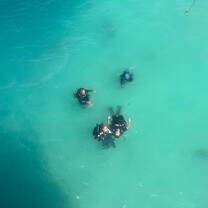 a group of divers practises skills in the water