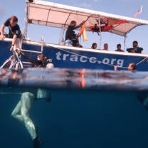 a dive boat picks up divers after a work dive