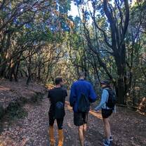 People hiking