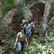 Volunteers hiking