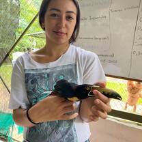 Volunteer holding a birds' beak