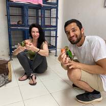 Volunteers feeding small parrots