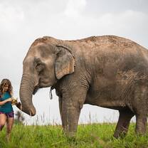 a volunteer on the elephant sanctuary trip