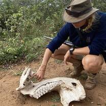 Teacher with fossil