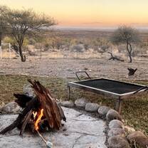 Campfire view