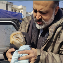 A volunteer gently nurtures a rescued bird, offering care and comfort. With patience and compassion, they help in its recovery, playing a vital role in giving it a second chance at life.