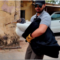 A volunteer carefully rescues an injured bird and carries it to the clinic for treatment, ensuring its safety and immediate care for a swift recovery.