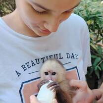 Volunteer feeding a baby monkey