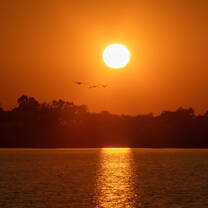 African Sunset