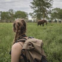 Elephant on foot encounter