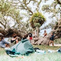 Camping in New Zealand