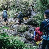 Students hiking in New Zealand