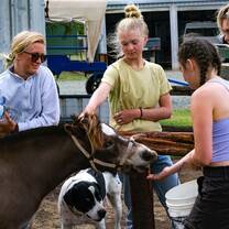 Students caring for animals