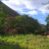 Finca Sagrada's Spirit House