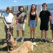animal welfare in Northern Spain
