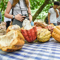 VISIONS Dominican Republic Cacao tour.