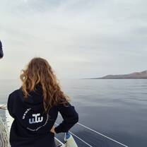 Whale-watching 