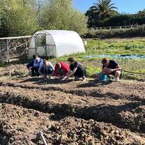Permaculture