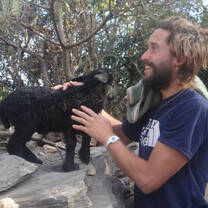 A volunteer playing with animals during work at a local animal care NGO in Dharamshala in the state of Himachal Pradesh located at the foothills of Himalays while participating in our Volunteer & Travel Program where they cover 10+ cities across India while participating in action-orientated impactful volunteering activities along with cultural immersion through travel to historic monuments, participating in art & food related workshops and much more