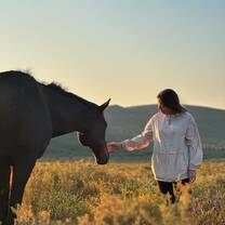 horse volunteer