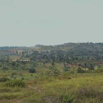 A scenic view of the land Tjeko owns 
