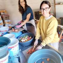 volunteers