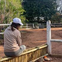 primate volunteer