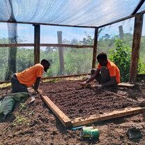 2 staff members planting seedlings in a plant nursery