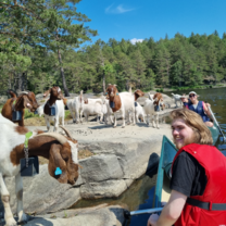 Canoe Trip in Vansjø with goats