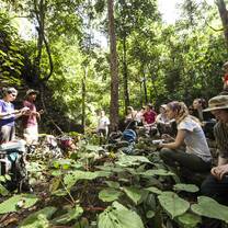 Students gather under the forest canopy writing observations in their notebooks