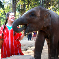 Student with baby elephant