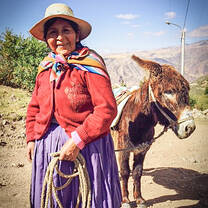 VISIONS Peru local Quechua woman with a Donkey