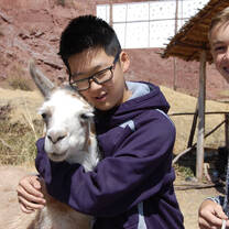VISIONS Peru participant hugging a llama