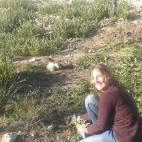 Removing rooikrans from our nature reserve