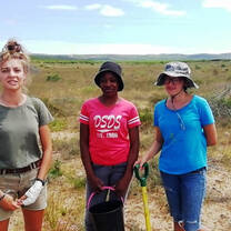 Rescuing Renosterveld plants from neighboring farms