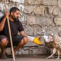 Volunteer with eagle
