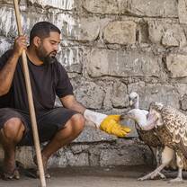 Volunteer with eagle