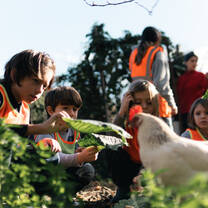 Children are learning how to grow food. A chicken is in the front of the frame.