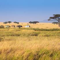 Central Serengeti